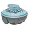 NetSpa RoPool Spa En Zwembadrobot